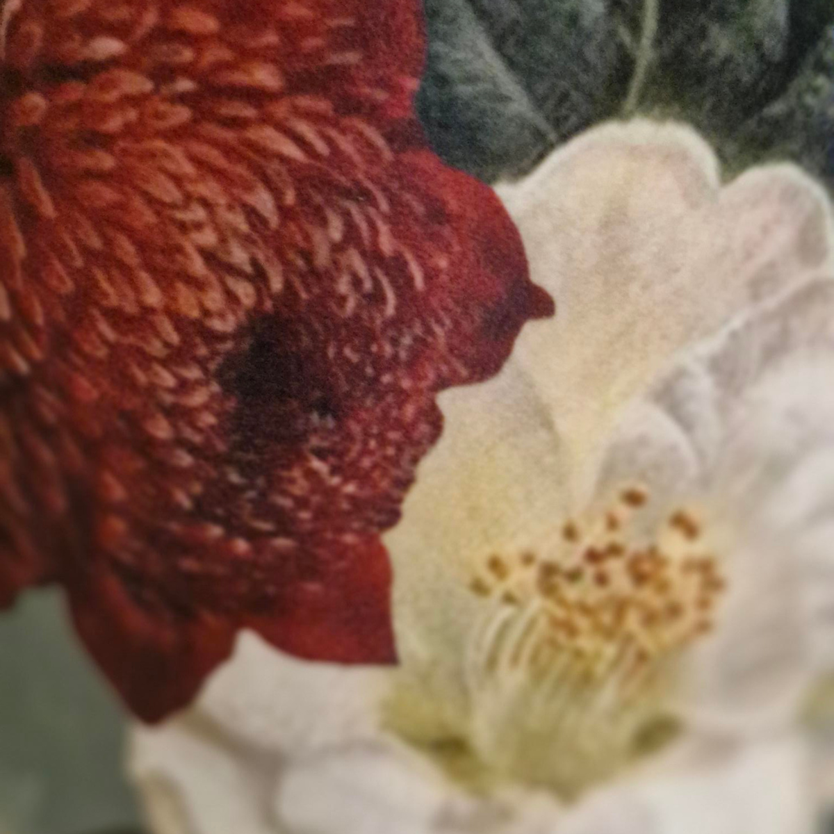 A close up of floral printed fabric